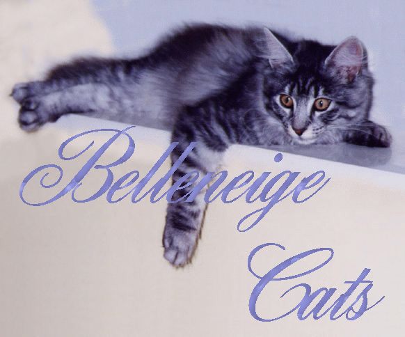 Link to Belleneige Cats